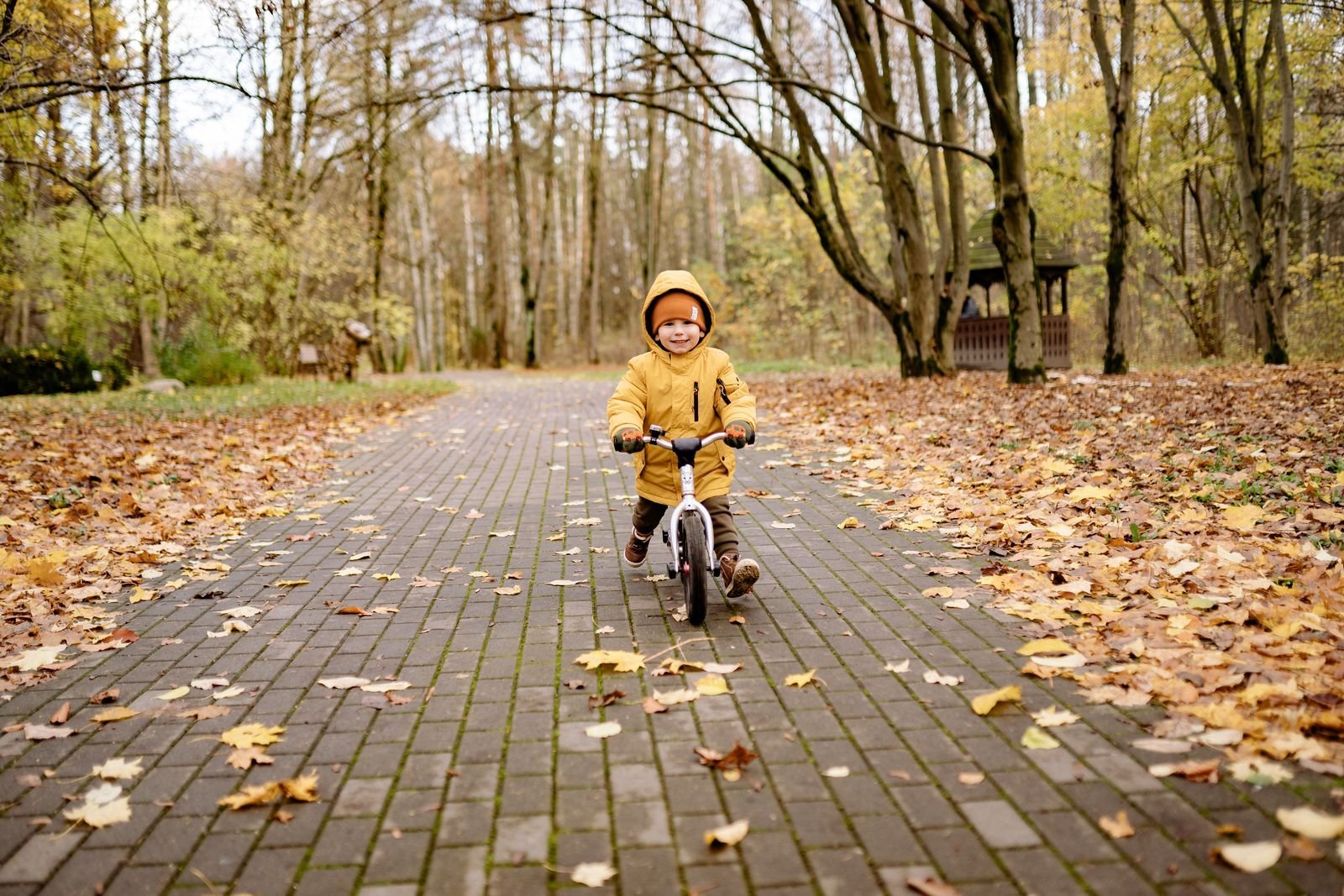 Balance bike from Kokua, photo 1 of 1