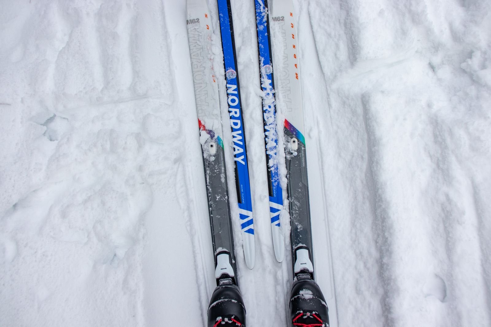 Cross-country skis with bindings, 195 cm, photo 1 of 1