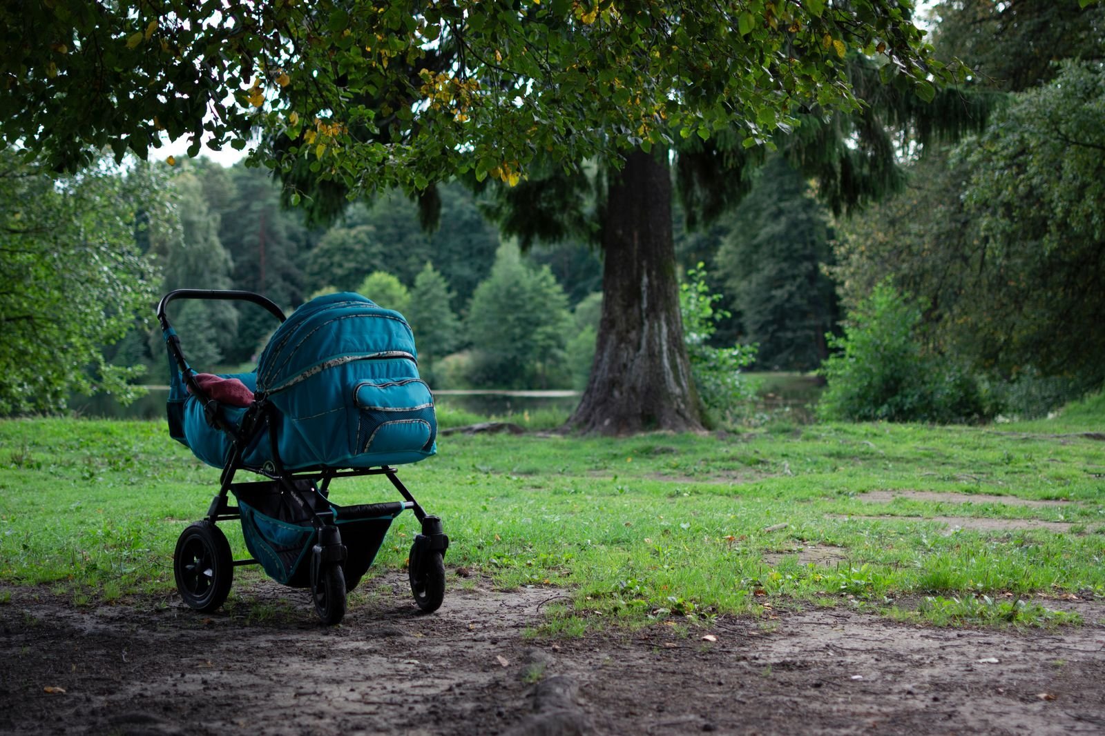 Light travel stroller, photo 1 of 1